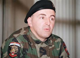 Za ubistvo Arkana po 30 godina zatvora