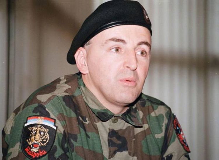 Za ubistvo Arkana po 30 godina zatvora