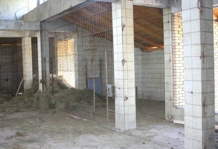 Poklonjeni majmuni čekaju na transfer