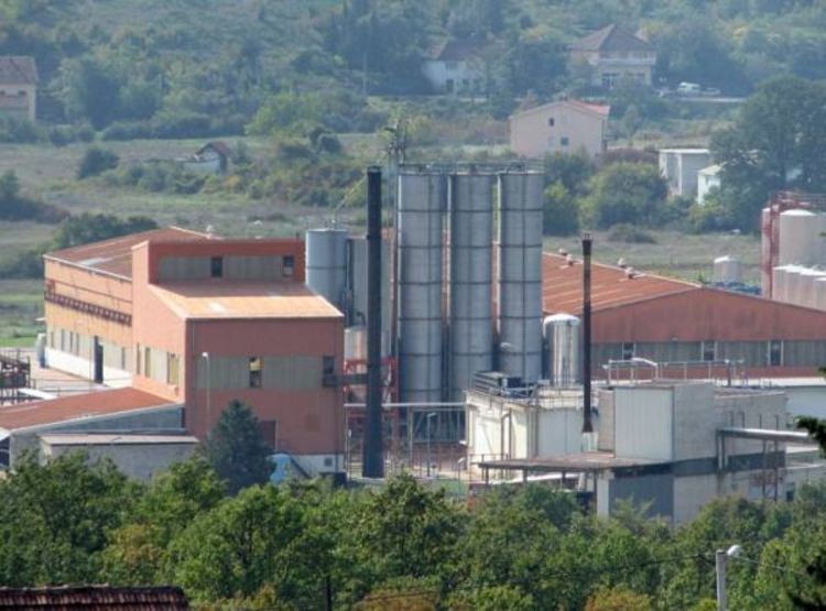 Grude u ekonomskoj renesansi