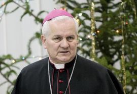 Franjo Komarica: Stranci podržavaju ratne profitere