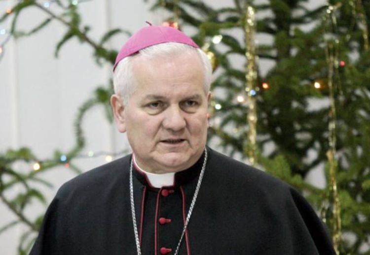 Franjo Komarica: Stranci podržavaju ratne profitere