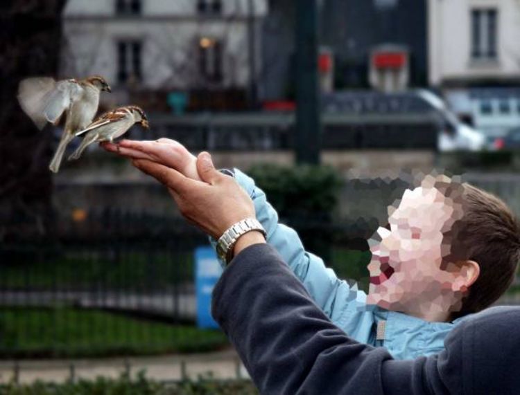 Djeca umiru od posljedica zlostavljanja