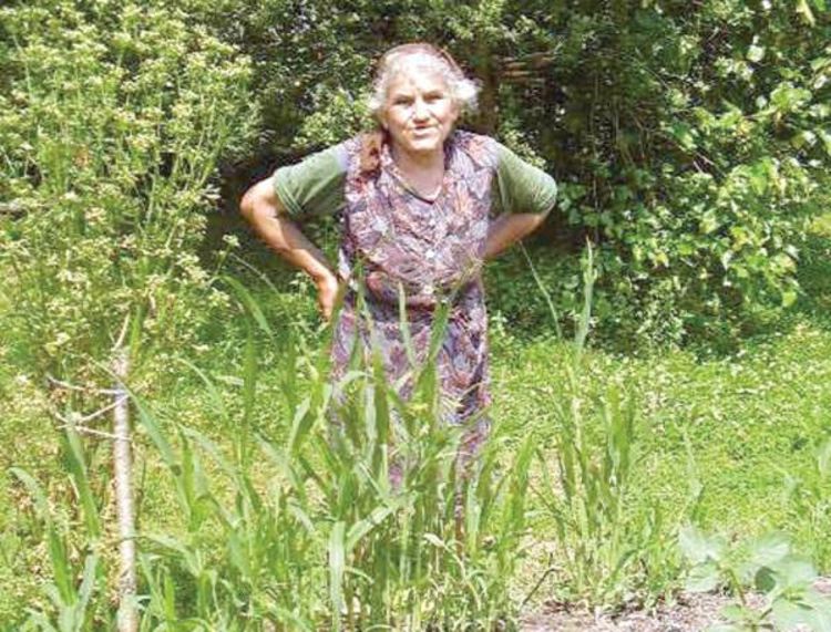 Ljeposavi Gvozden: Konoplja taman za moje vreteno