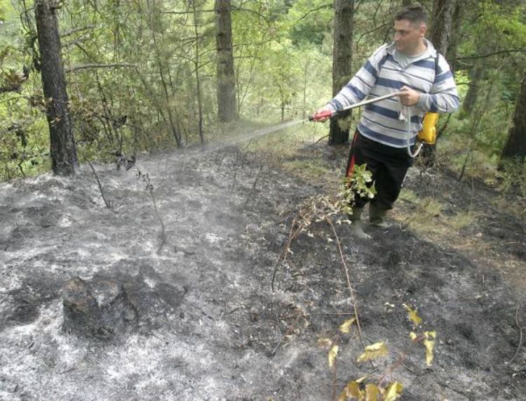 Vatrogasci se bore s vatrenom stihijom