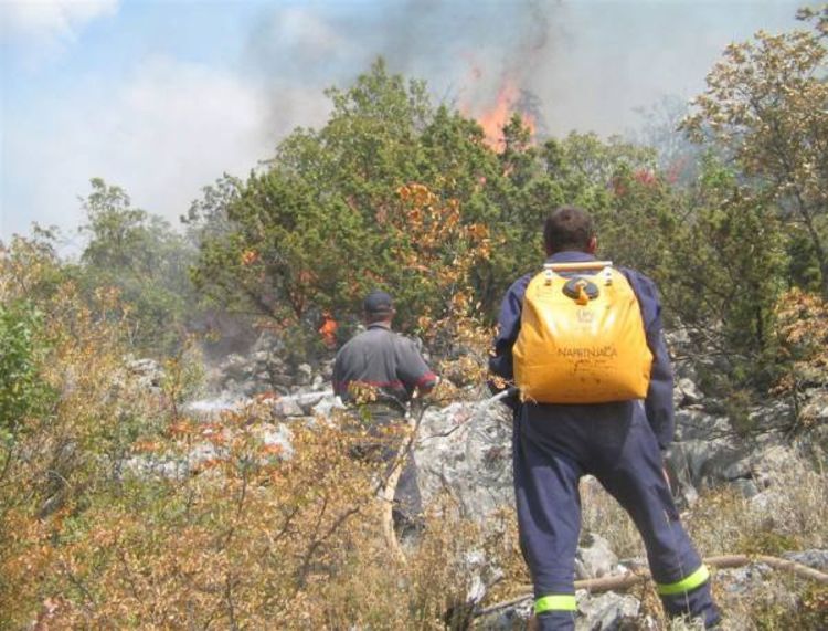 Dodik predložio formiranje regionalne vatrogasne brigade