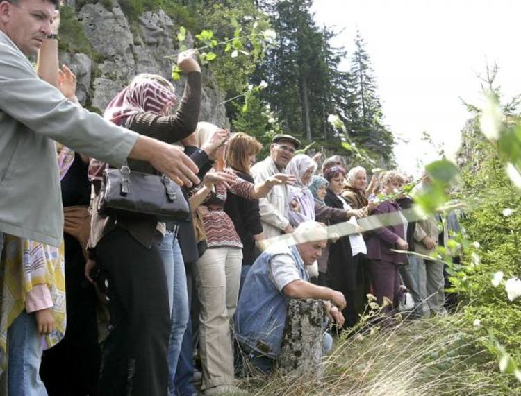 250 ruža za nevine žrtve