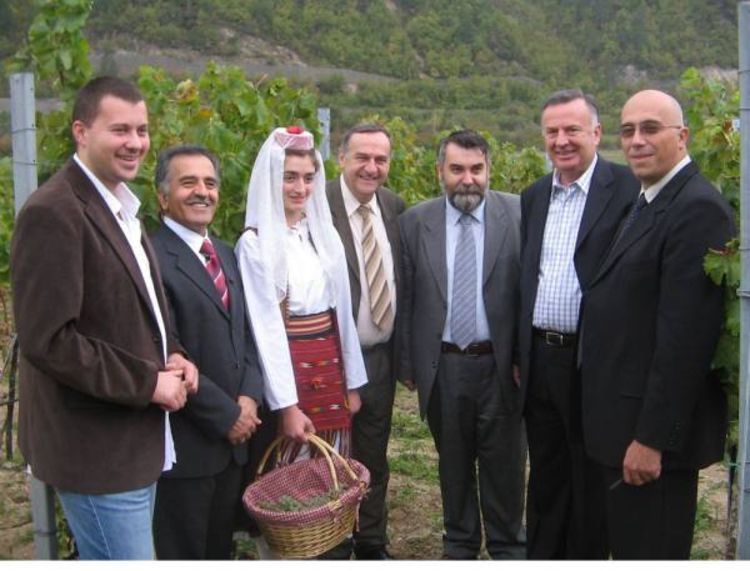 Prva berba u Carskim vinogradima