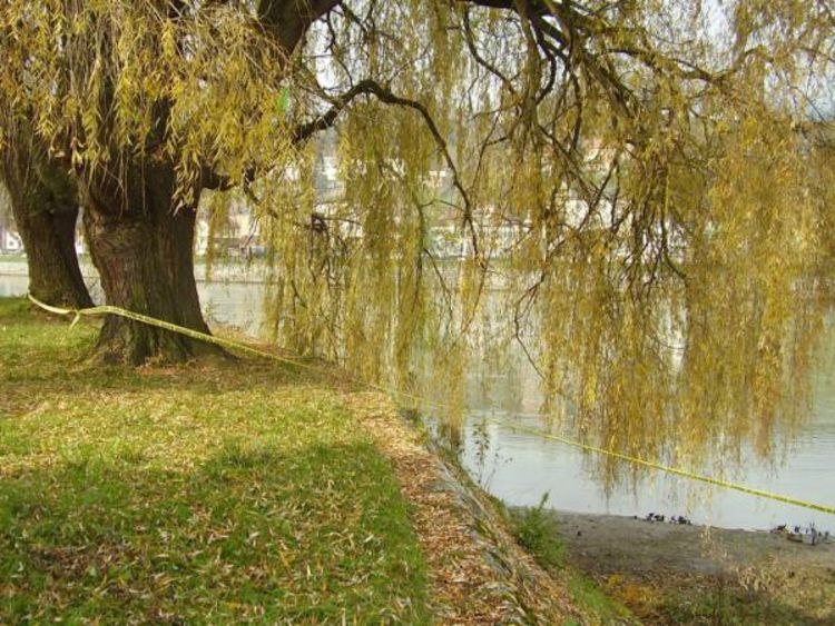 U Višegradu traje potraga za devetogodišnjim Milošem Todorovićem