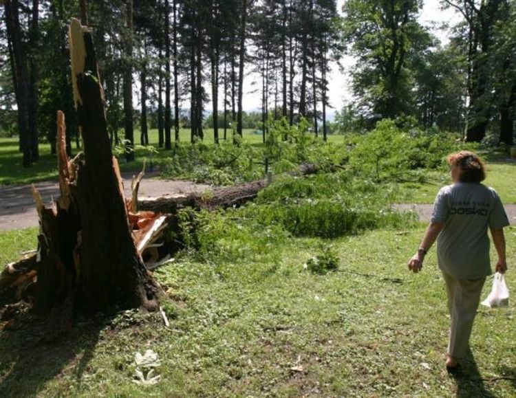 Stoljetni park dobiće jezero i vidikovac