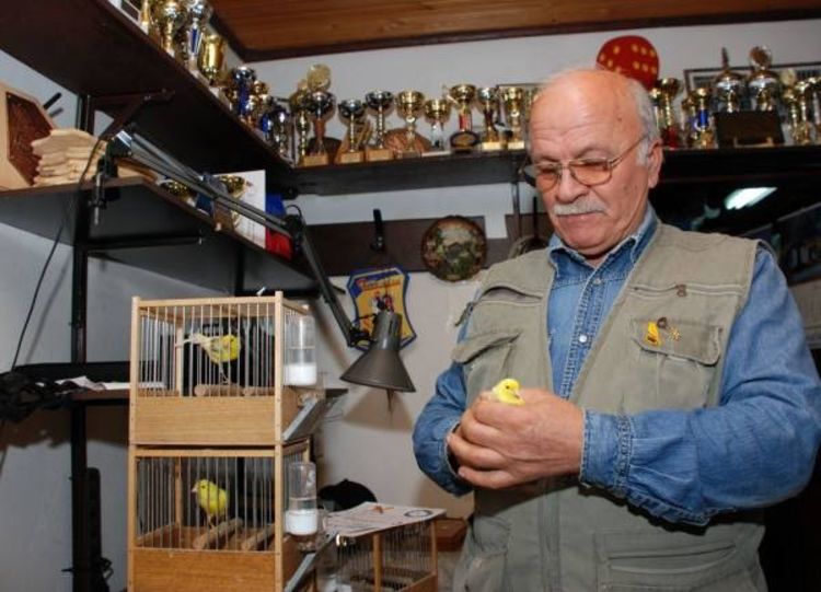 Na izložbi u Travniku osvojio osam pehara