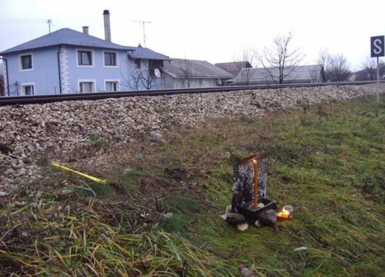 Voz usmrtio dvanaestogodišnjeg dječaka