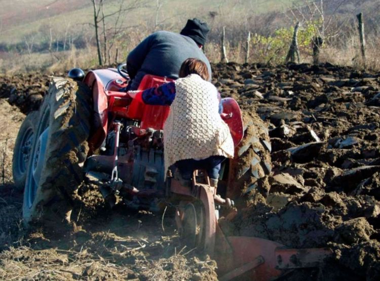 Vještačko đubrivo skuplje do 60 odsto