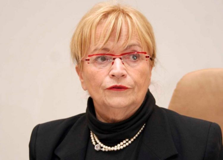 Doris Pak: S ovakvim ustavom BiH ne može u EU