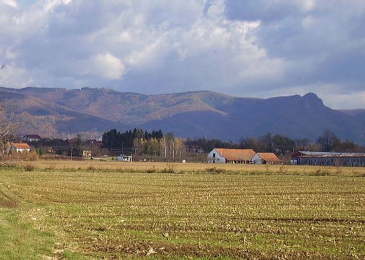 Proizvođači će odustajati od sjetve