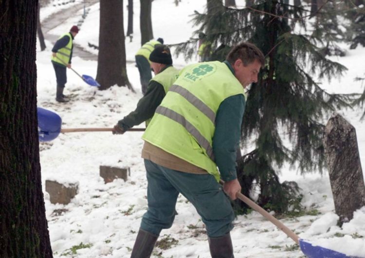 Cjelodnevno druženje sa sankama