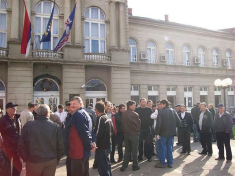 Uvezene krave donijele brucelozu