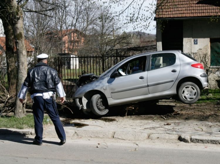 Pežoom iščupao drvo