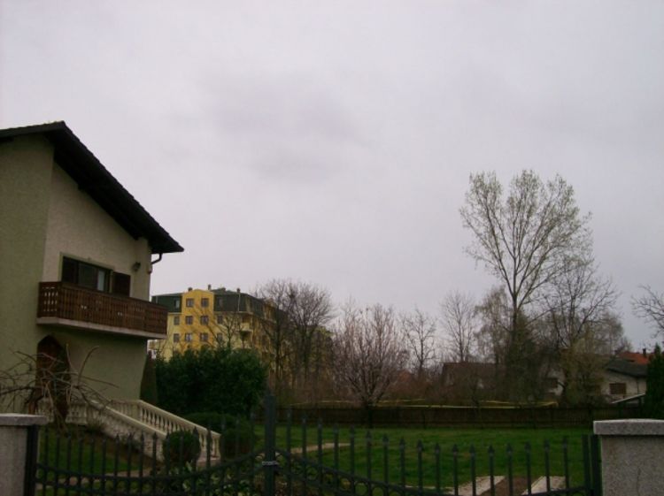 Pas pronašao leš u fazi raspadanja
