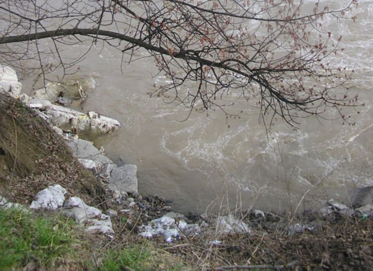 Pileći otpad na obali Bosne