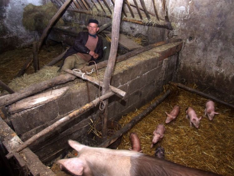 Srbin živi u štali Hrvata