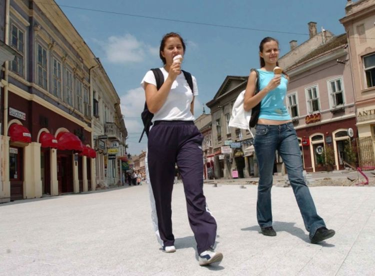 Piju, slušaju Cecu i glasaju za radikale