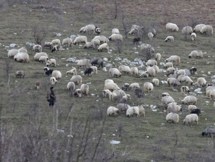 Potreban pogon za spaljivanje