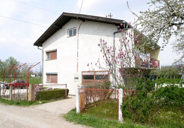 Žena se borila s lopovom