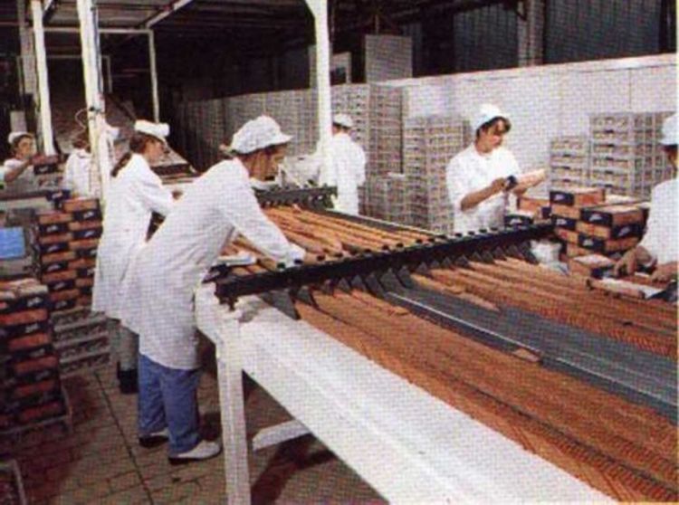Prevarom Agrokomerc oštetili za 1,2 miliona KM