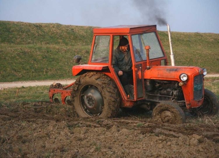 Zasijano samo pola oranica 