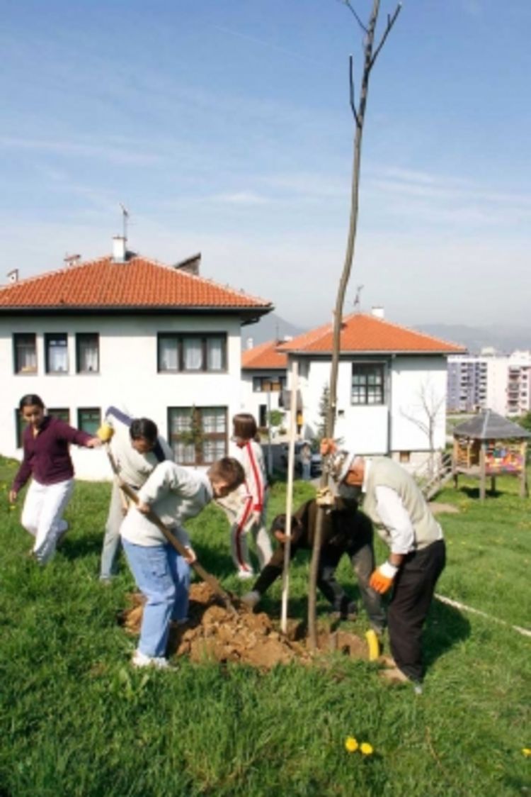 Dvorište ukrasili s 25 sadnica lipe