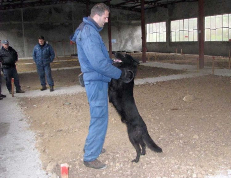 Demineri koji se ne žale na svoj posao