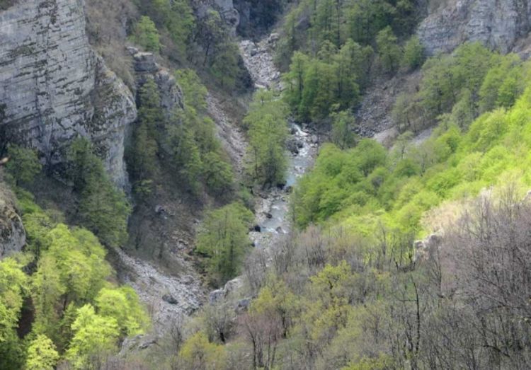 Gladni vukovi najčešći gosti
