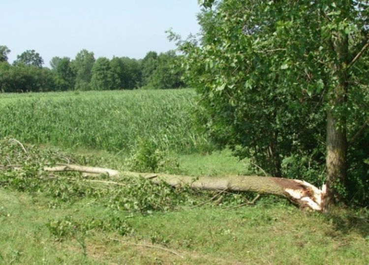 Za 15 minuta bez krova nad glavom