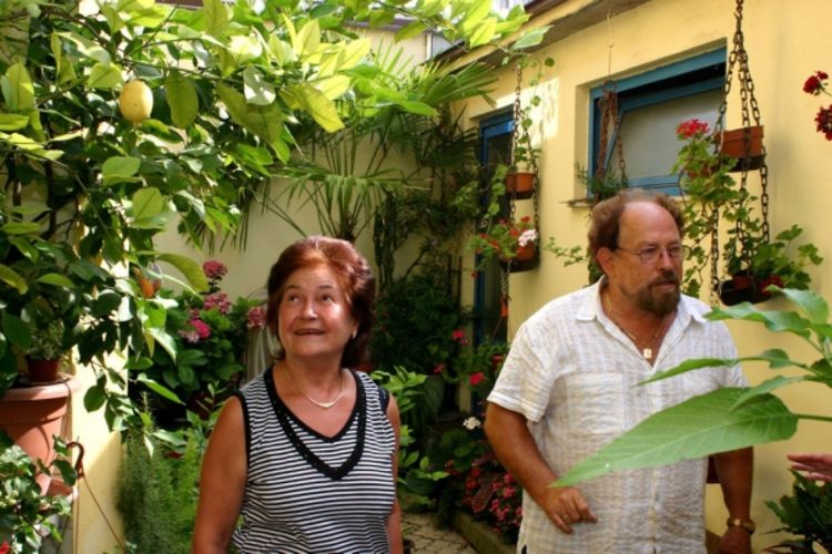 U vrtu gaji banane, palme i hortenzije