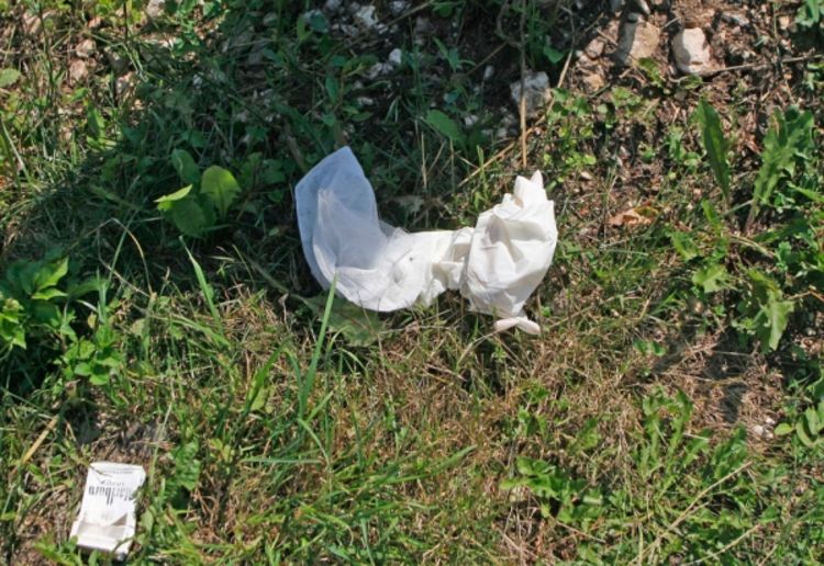 Pronašao otkinutu glavu bebe