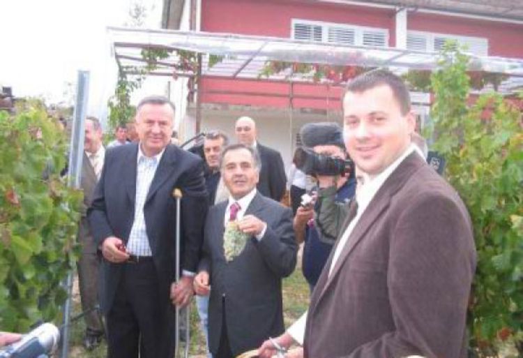 “Podrumi Vukoje” šire vonograde