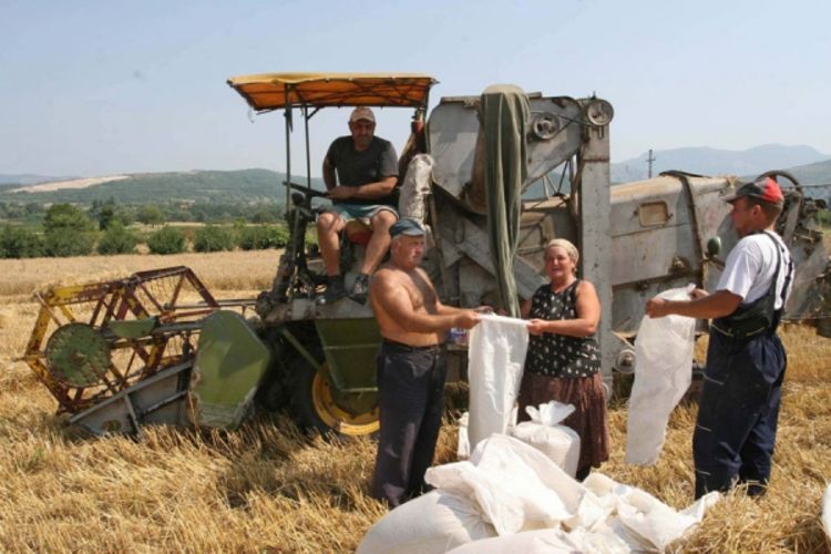 Brašno jeftinije do 20 odsto