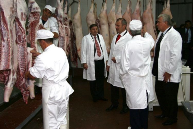 Proizvodnja Impra veća od prijeratne 