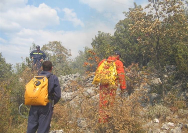 Šumski požar stigao do kuća