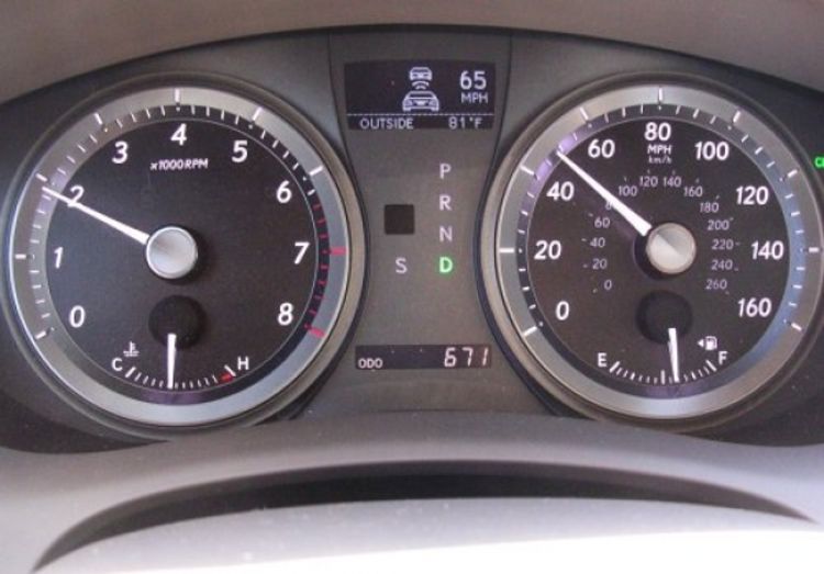 Tica jurio 210 km na čas
