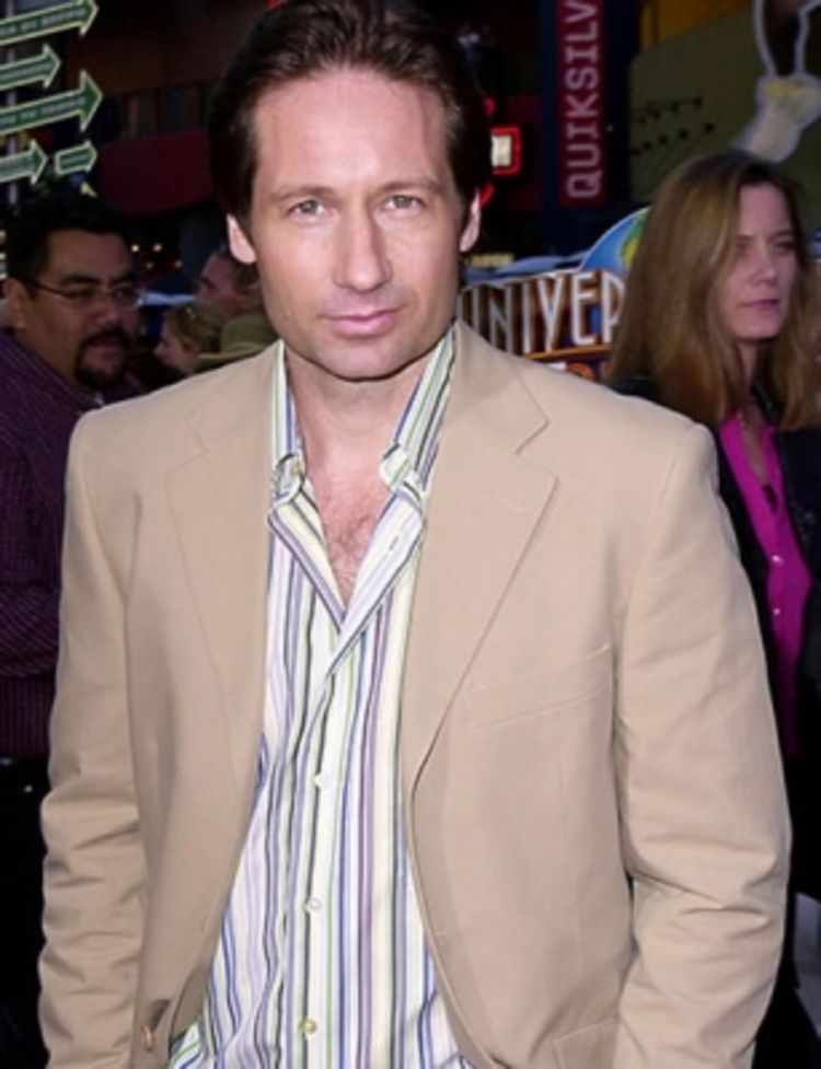 David Duchovny na odvikavanju od seksualne zavisnosti