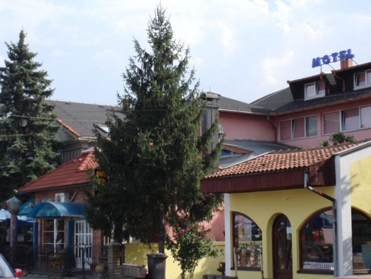 Profesorima poslati pozivi za saslušanje