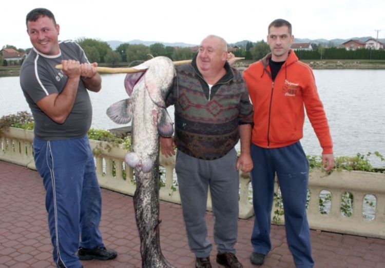 Upecali soma od 56 kilograma