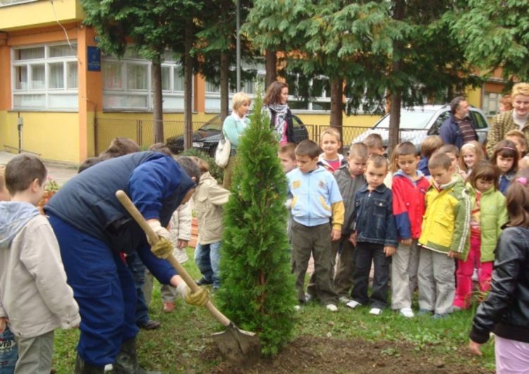 Drvo generacije za sve banjalučke prvačiće
