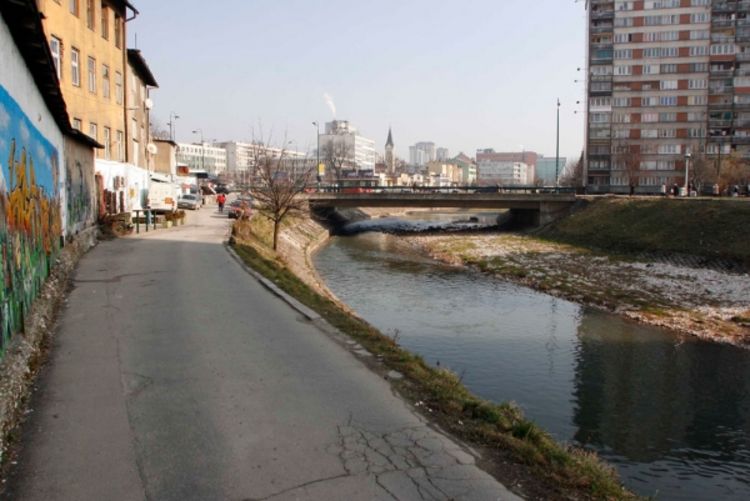 Šetnica poput Vilsonovog