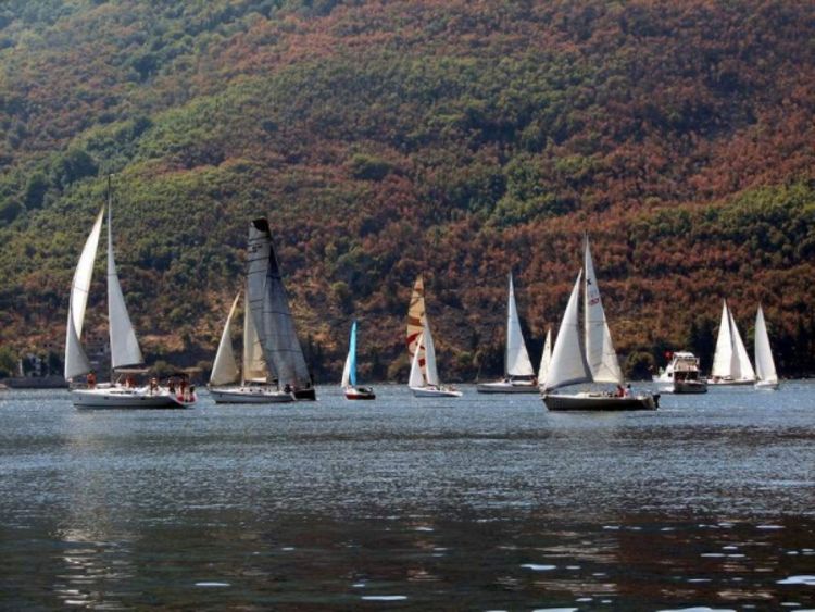 Festival jedrenja na beogradskom moru