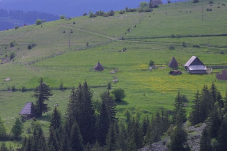 Legalizacija bespravne gradnje na Vlašiću