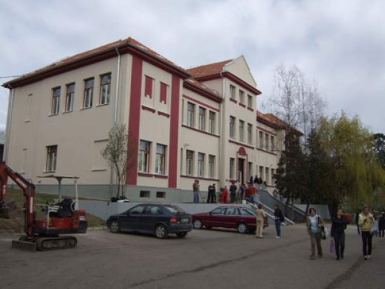 Umrla u autu od moždanog udara