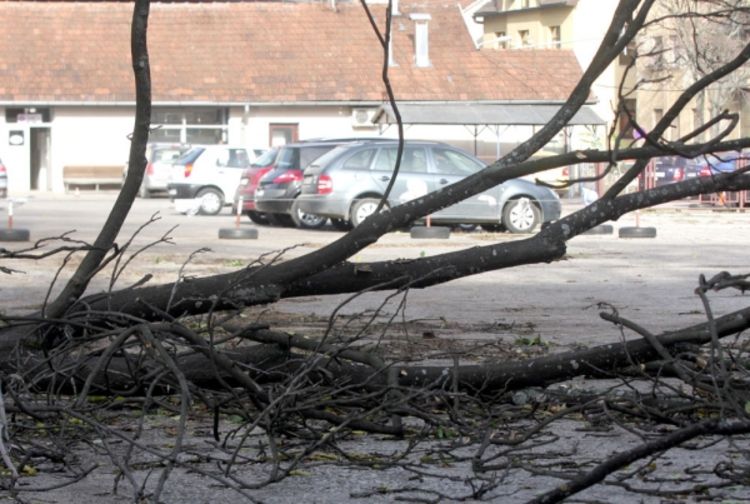 Vjetar nosio krovove i čupao drveće